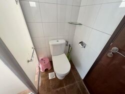 Jalan Limau Nipis (D16), Terrace #520259861